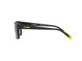Arnette Dashanzi Aurinkolasit AN 4254 01/81