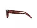 Arnette Bandra Aurinkolasit AN 4298 27956Q