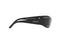 Arnette Catfish Aurinkolasit AN 4302 275881