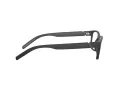 Arnette Leonardo Silmalasit AN 7179 01