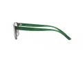 Arnette Fakie Silmalasit AN 7231 2786