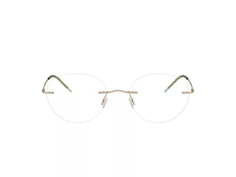 Giorgio Armani Silmalasit AR 5147 3002