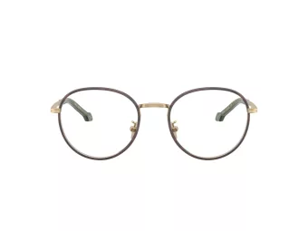 Giorgio Armani Silmalasit AR 5151J 3002