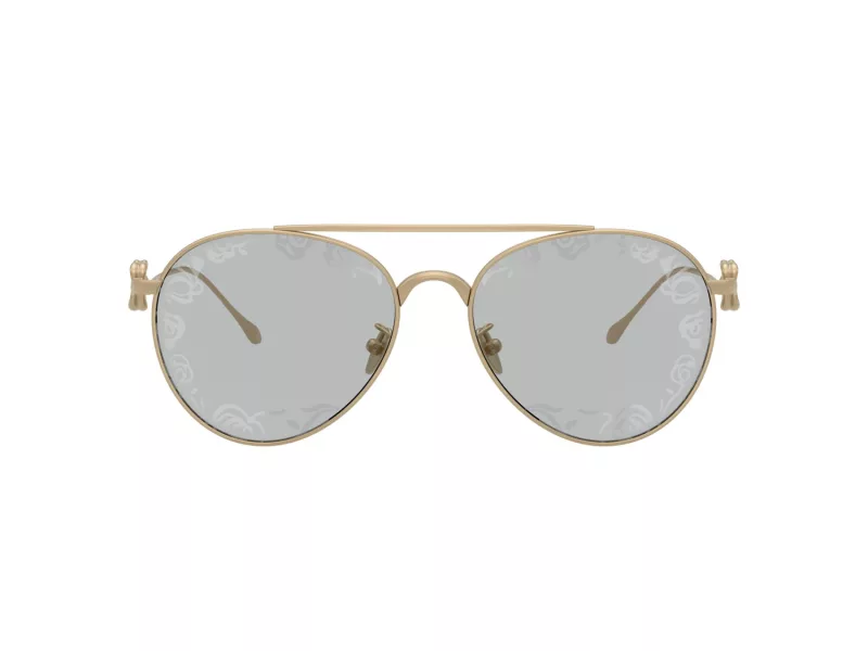 Giorgio Armani Aurinkolasit AR 6167 3002AL