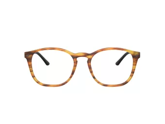 Giorgio Armani Silmalasit AR 7074 5562