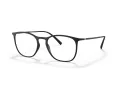 Giorgio Armani Silmalasit AR 7202 5042