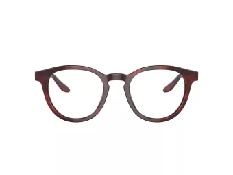 Giorgio Armani Silmalasit AR 7227 5962