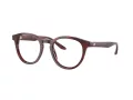 Giorgio Armani Silmalasit AR 7227 5962