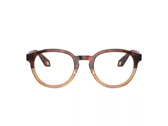 Giorgio Armani Silmalasit AR 7248 6034
