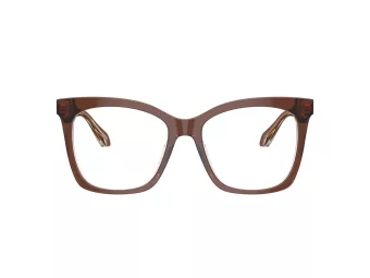 Giorgio Armani Silmalasit AR 7254U 6090