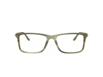 Giorgio Armani Silmalasit AR 7261 6168