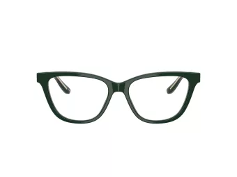 Giorgio Armani Silmalasit AR 7263 6173