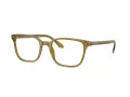 Giorgio Armani Silmalasit AR 7265 6172