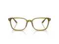 Giorgio Armani Silmalasit AR 7265 6172