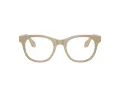 Giorgio Armani Silmalasit AR 7269 6161