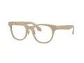 Giorgio Armani Silmalasit AR 7269 6161