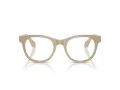 Giorgio Armani Silmalasit AR 7269 6161