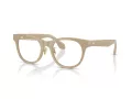 Giorgio Armani Silmalasit AR 7269 6161