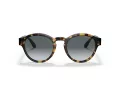 Giorgio Armani Aurinkolasit AR 8146 587486