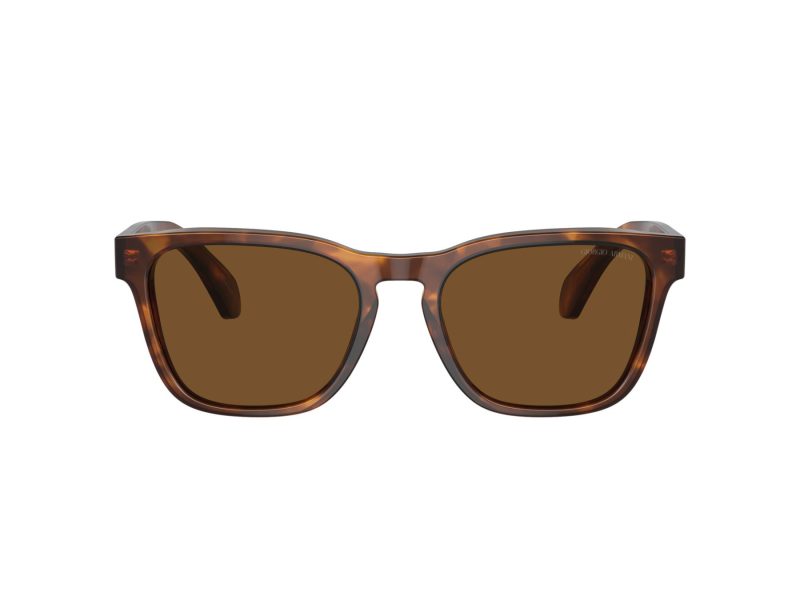 Giorgio Armani Aurinkolasit AR 8155 598857
