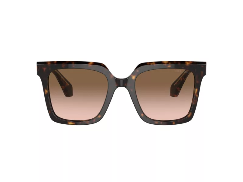 Giorgio Armani Aurinkolasit AR 8156 587951