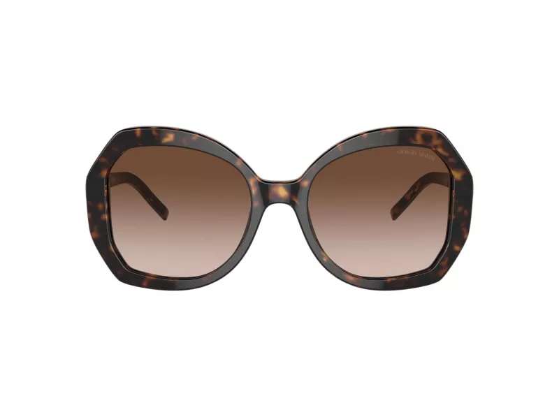 Giorgio Armani Aurinkolasit AR 8180 502613