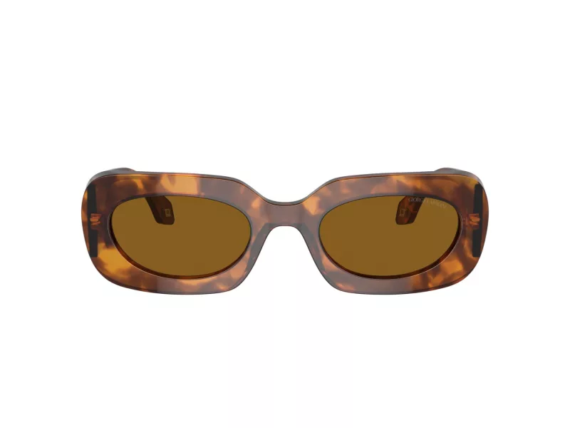 Giorgio Armani Aurinkolasit AR 8182 598833