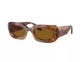 Giorgio Armani Aurinkolasit AR 8182 598833