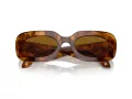 Giorgio Armani Aurinkolasit AR 8182 598833