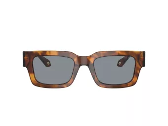 Giorgio Armani Aurinkolasit AR 8184U 598802