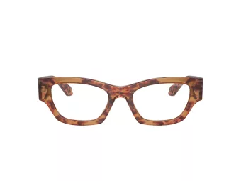 Giorgio Armani Aurinkolasit AR 8185U 59781W