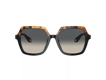 Giorgio Armani Aurinkolasit AR 8193U 587519