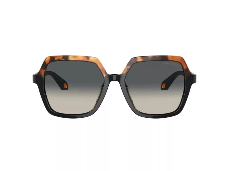 Giorgio Armani Aurinkolasit AR 8193U 587519