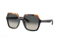 Giorgio Armani Aurinkolasit AR 8193U 587519