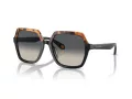 Giorgio Armani Aurinkolasit AR 8193U 587519