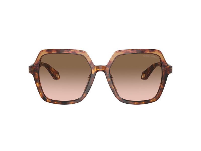 Giorgio Armani Aurinkolasit AR 8193U 603351