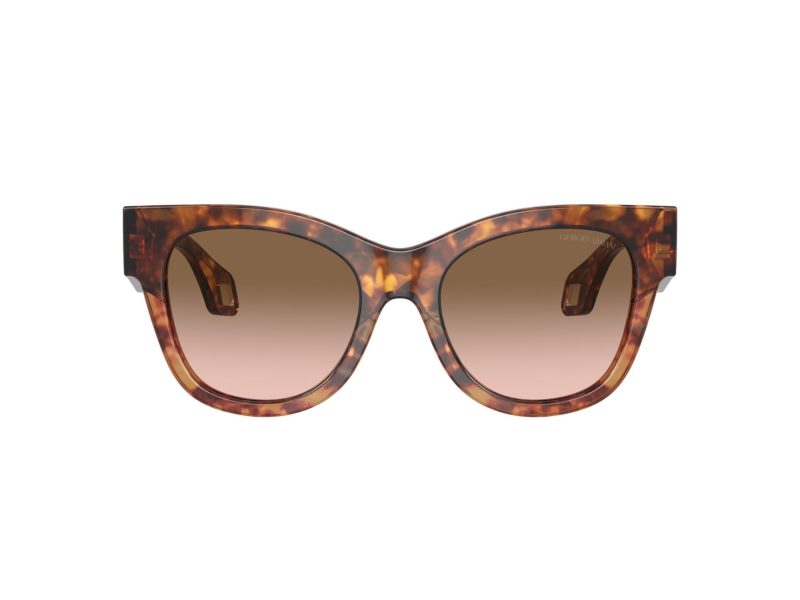 Giorgio Armani Aurinkolasit AR 8195U 603351