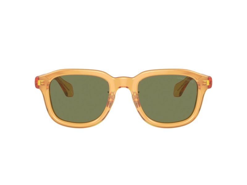Giorgio Armani Aurinkolasit AR 8206 60632A