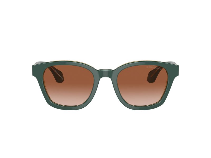 Giorgio Armani Aurinkolasit AR 8207 608613