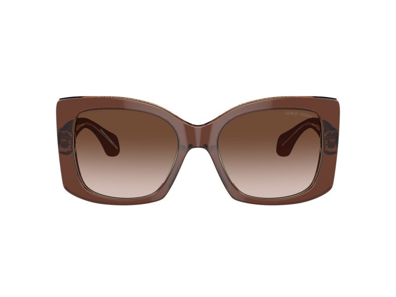 Giorgio Armani Aurinkolasit AR 8208U 609013