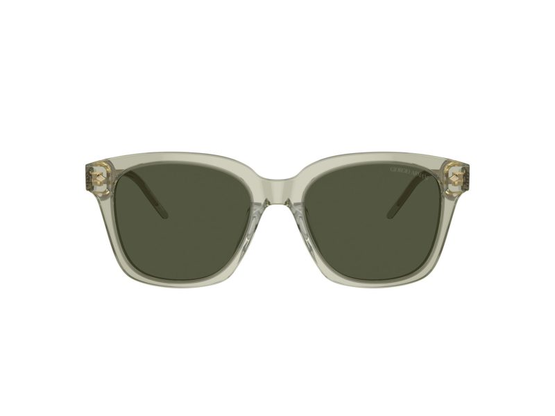 Giorgio Armani Aurinkolasit AR 8210U 608331