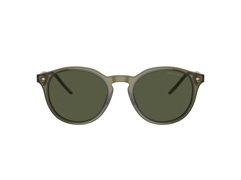 Giorgio Armani Aurinkolasit AR 8211 607452