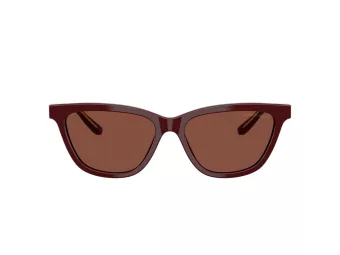 Giorgio Armani Aurinkolasit AR 8221 5955C5