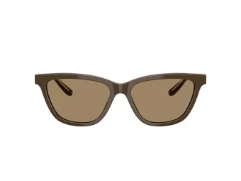 Giorgio Armani Aurinkolasit AR 8221 595753