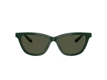 Giorgio Armani Aurinkolasit AR 8221 617331