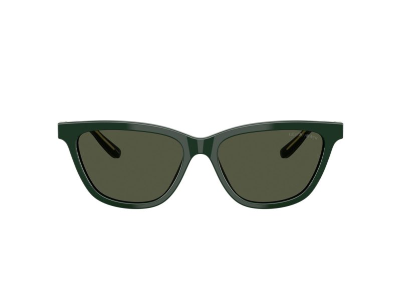Giorgio Armani Aurinkolasit AR 8221 617331