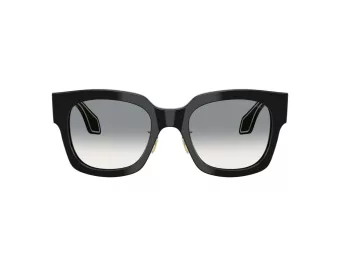 Giorgio Armani Aurinkolasit AR 8223 500111