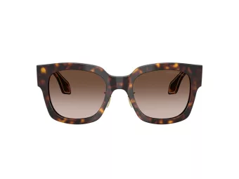 Giorgio Armani Aurinkolasit AR 8223 502613