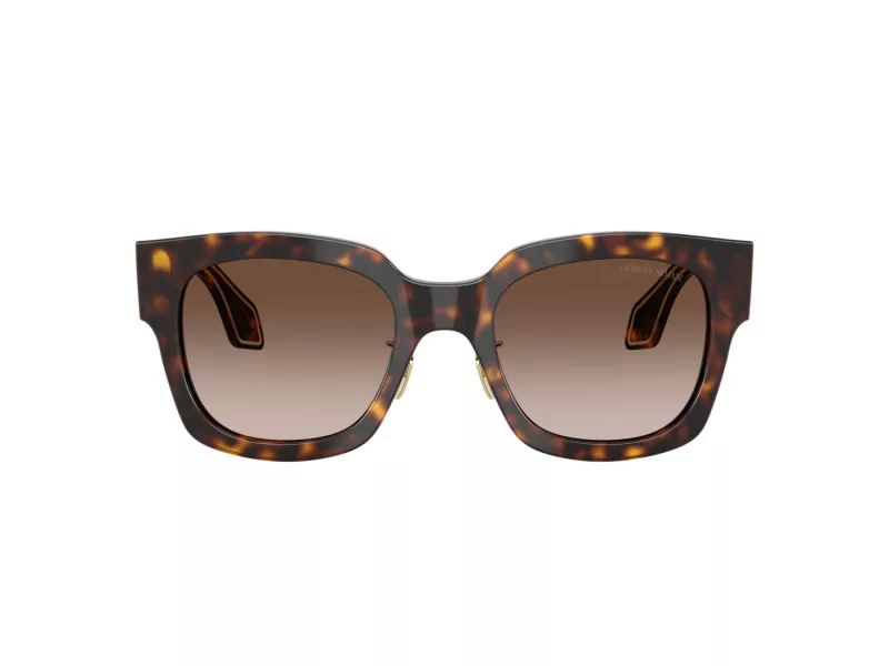 Giorgio Armani Aurinkolasit AR 8223 502613