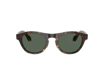 Giorgio Armani Aurinkolasit AR 8225 502671